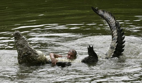 Дружба крокодила и человека (4 фото)