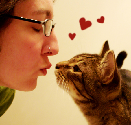 Кошачьи поцелуйчики (20 фото)