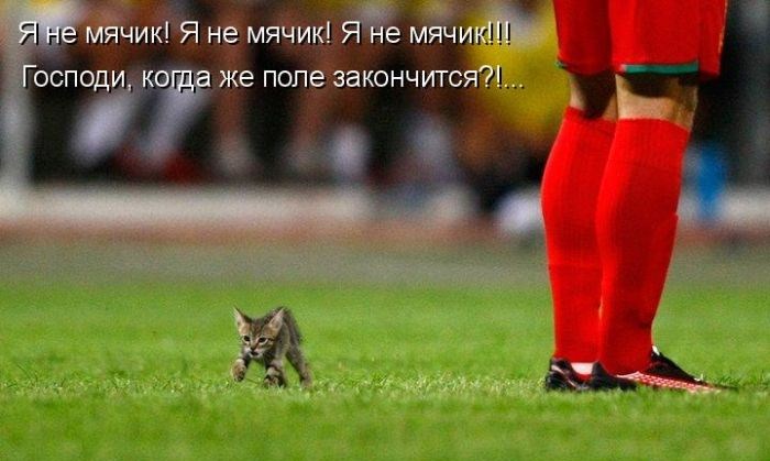 Обзор Трибуны