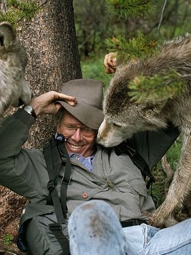 Шесть лет жизни с волками (16 фото)