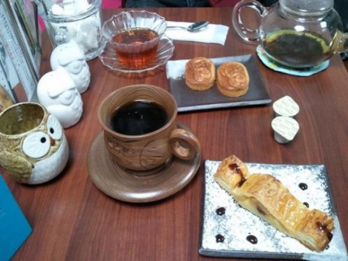 Новое необычное кафе в Японии-кафе сов (26 фото)