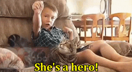 Кот спас ребёнку жизнь