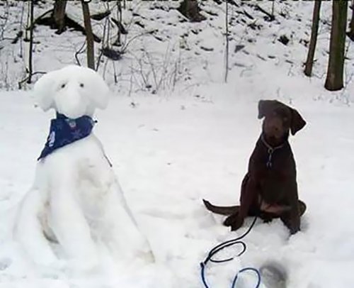 Снеговики, похожие на собак и кошек (11 фото)