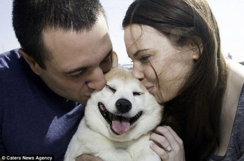 Самая улыбчивая собака в мире!(10 фото)