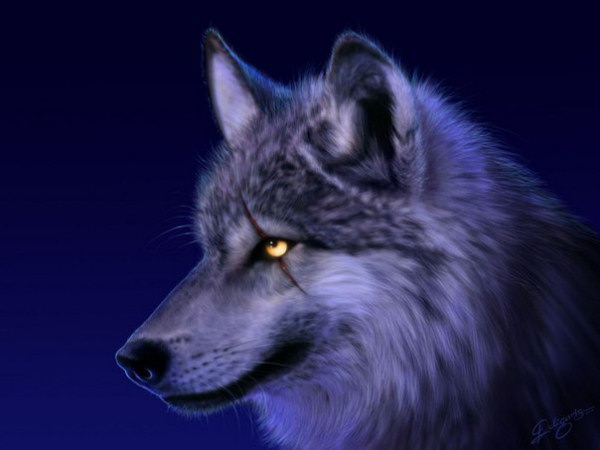 Верующий волк
