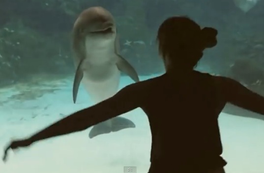 Юмор: Девочка рассмешила дельфина в аквапарке