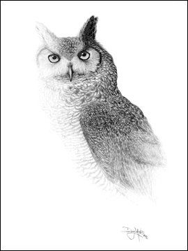 Рисунки животных от  Дуга Лендиса (16 фото)