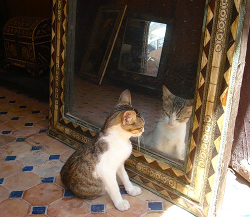 Зеркальное отражение (27 фото)
