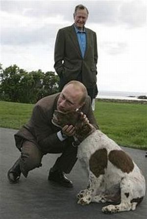 Владимир Путин с разными животными (23 фото)