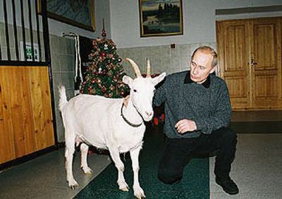 Владимир Путин с разными животными (23 фото)
