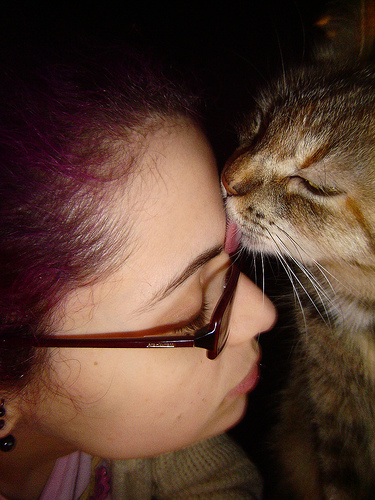 Кошачьи поцелуйчики (20 фото)