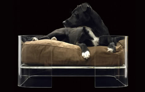 Элитная мебель для собак (6 фото)