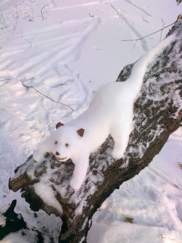 Зверьки-снеговики(13 фото)