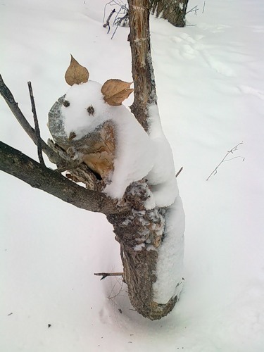 Зверьки-снеговики(13 фото)