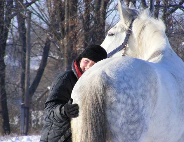 20 лошадок. Белогривый конь. Белогривый конь картинка. Лошадь ХХ. Белогривые жеребцы.