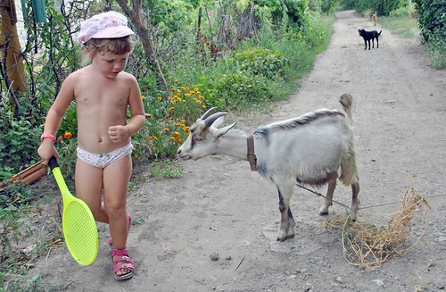 Дети очень любят животных (32 фото)