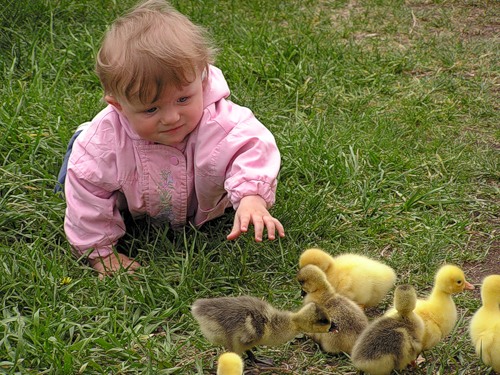 Дети очень любят животных (32 фото)