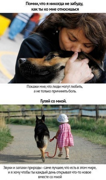 Любите своих животных (10 фото)