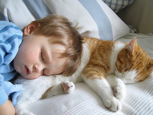 Милые малыши и кошки (34 фото)