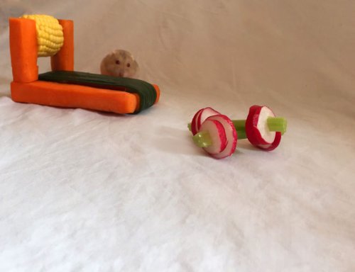 Овощной фитнес для хомячков (6 фото)