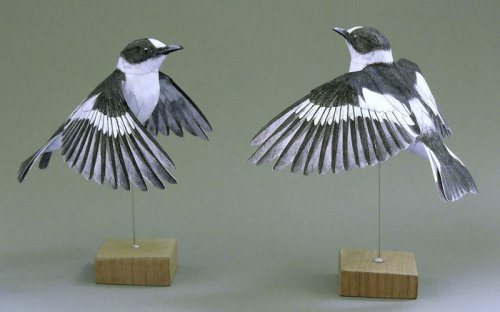 Невероятно реалистичные бумажные птицы Йохана Шерфта (18 фото)