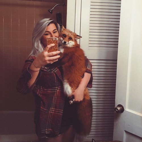 Счастливая лисица Джунипер покоряет Instagram (21 фото)