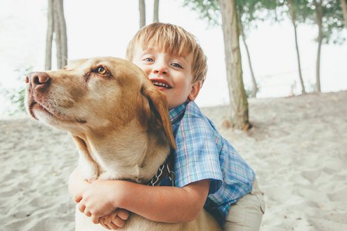 Собаки, которые безмерно любят детей (35 фото)