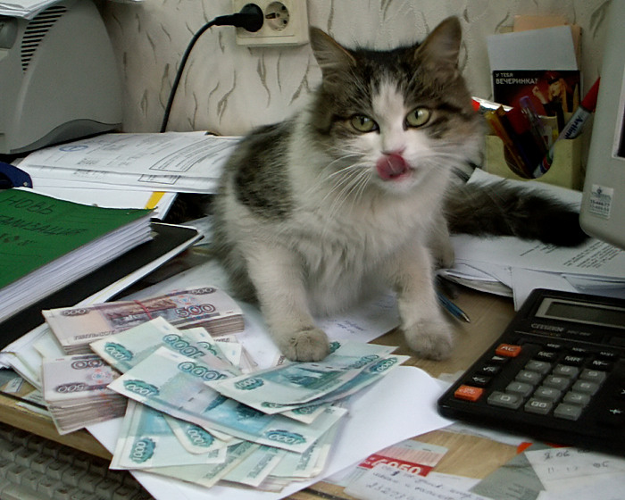 Не платить деньгу. Кот бухгалтер. Кот с деньгами. Кот с рублями. Денежный котик.