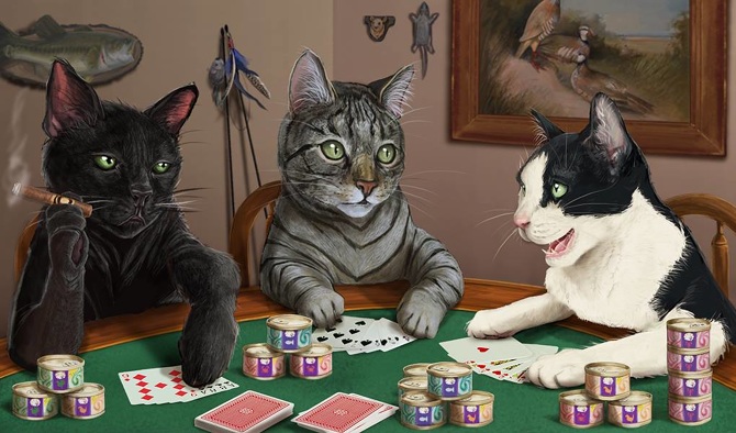как играть в кота с картами