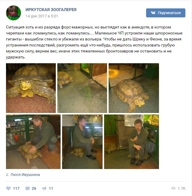 Однажды в московском зоопарке разбилось стекло. Иркутский зоопарк Зоогалерея. Анекдот черепахи ломанулись. Зоопарк в Иркутске Зоогалерея.