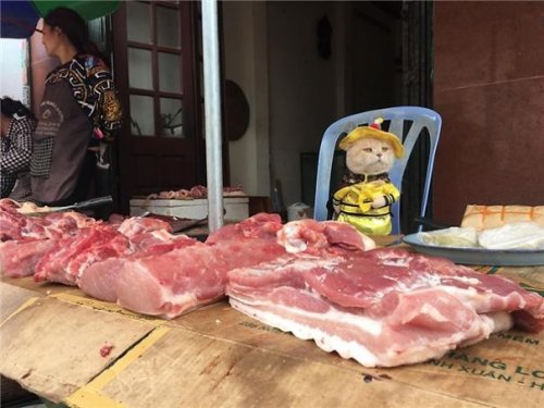 Самый очаровательный продавец во Вьетнаме, который покорит ваше сердце:) (14 фото)