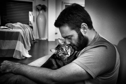 Мужчины и кошки (15 фото)