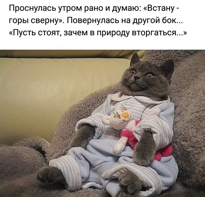Я думала пустят. Кот в пижаме. Кошка в пижаме. Пижама котенок. Пижама с котиками.