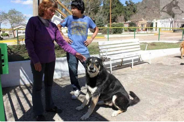 Ушёл из жизни пёс, проживший 11 лет на могиле хозяина (4 фото)