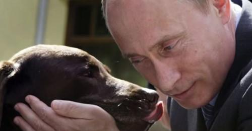 Куда исчезли собаки Владимира Путина? (4 фото)