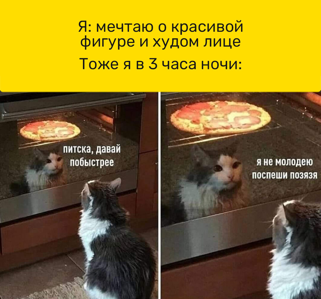 Кот и пицца Мем