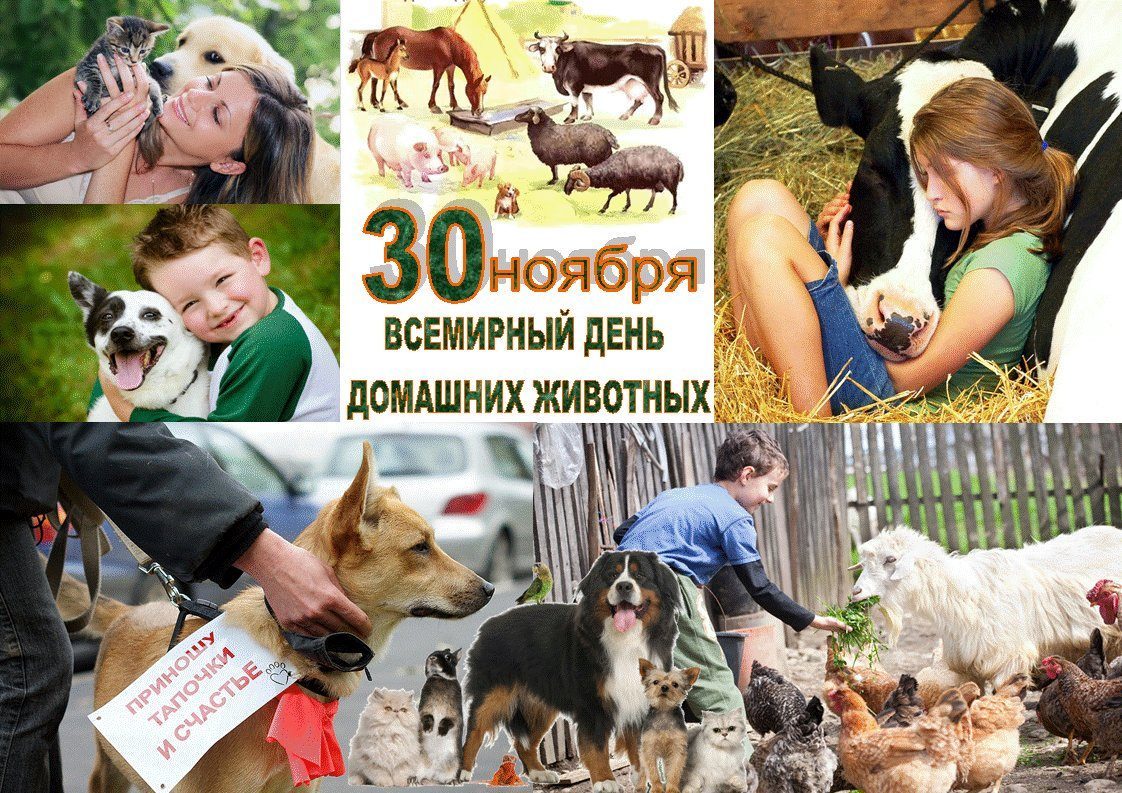 30 ноября – Всемирный день домашних животных Информация