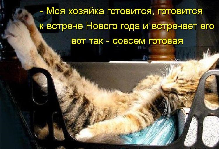 Новогодний пост прикольных котоматриц (20 фото)
