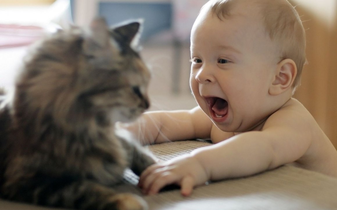 Красивые и душевные фотографии детей с кошками (30 фото)