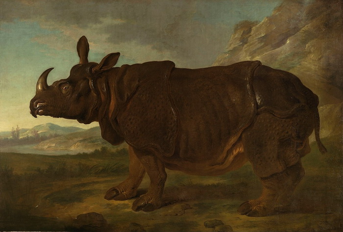 Самый знаменитый носорог 18 века (6 фото)