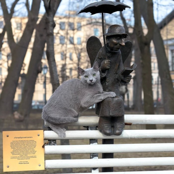 Котики со статуями (18 фото)