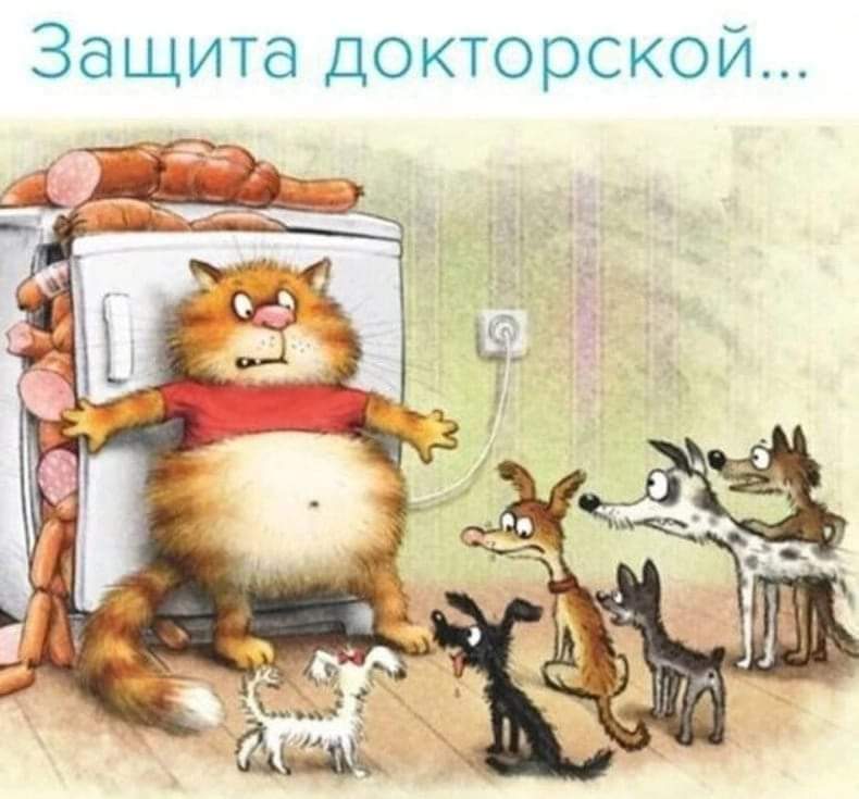 Приколы  о зверятах