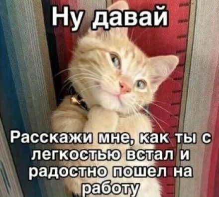 Позитивная подборка братьев наших меньших (30 фото)