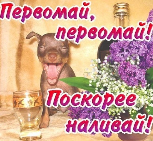 С Днём Весны и Труда!