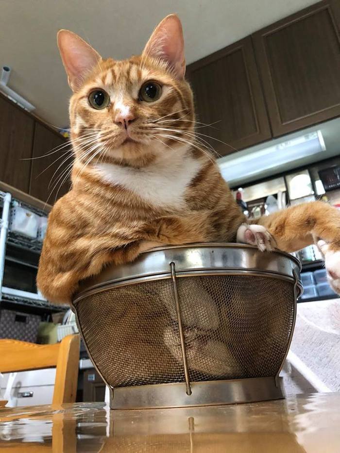 Прикольные картинки для вас! (30 фото)