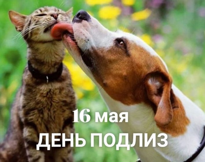 Пятничное настроение (30 фото)