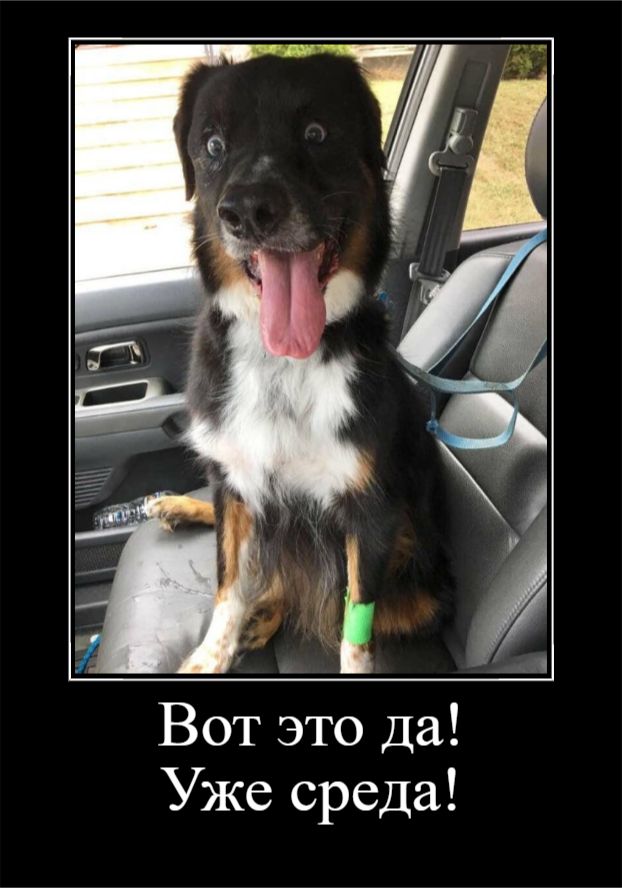 Просто для улыбки! (30 фото)