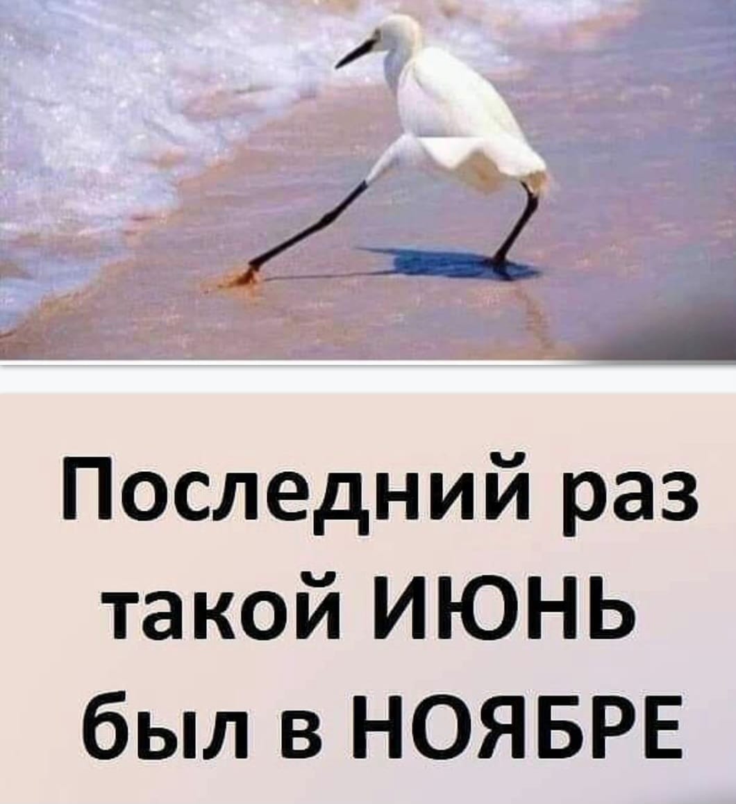 Прикольные картинки на понедельник (30 фото)