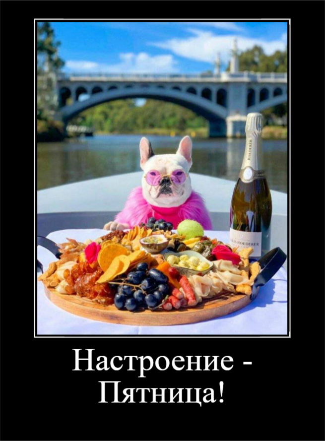 Пятничное настроение! (30 фото)