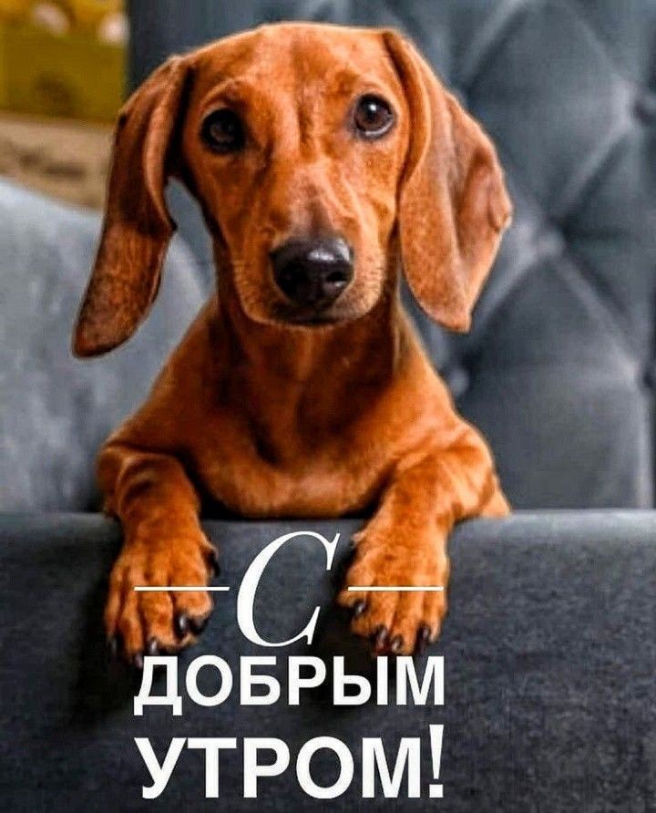Весёлый позитив  (30 фото)
